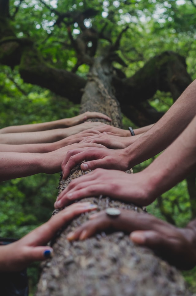 Many hands united by nature